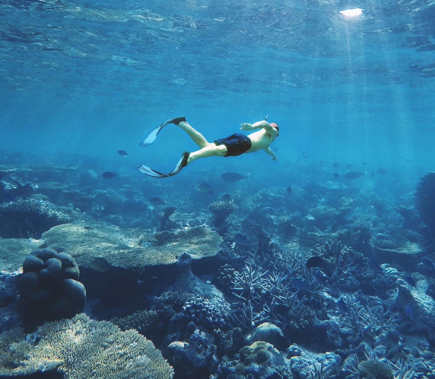 Snorkeling 2